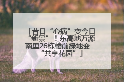 昔日“心病”变今日“新景”！东高地万源南里26栋楼前绿地变“共享花园”