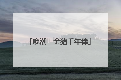 晚潮｜金猪千年律