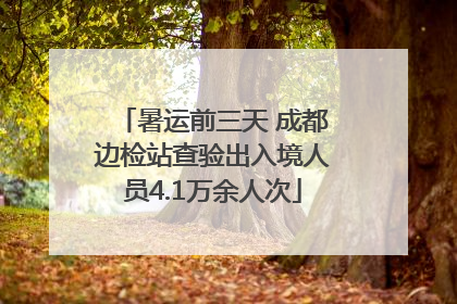 暑运前三天 成都边检站查验出入境人员4.1万余人次