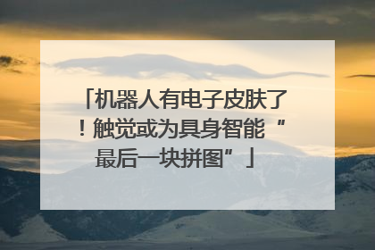 机器人有电子皮肤了！触觉或为具身智能“最后一块拼图”