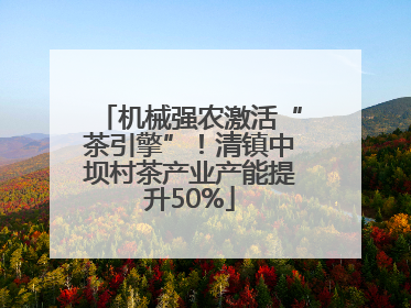 机械强农激活“茶引擎”！清镇中坝村茶产业产能提升50%