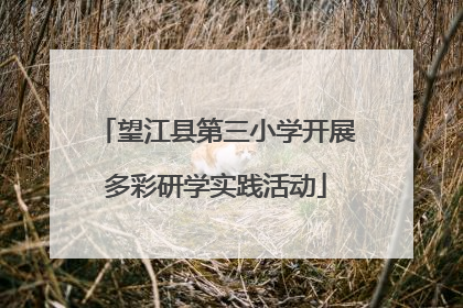 望江县第三小学开展多彩研学实践活动