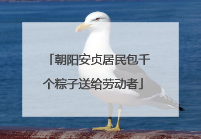 朝阳安贞居民包千个粽子送给劳动者