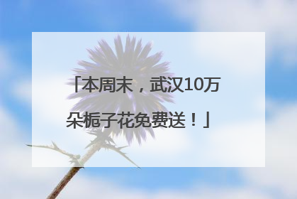 本周末，武汉10万朵栀子花免费送！