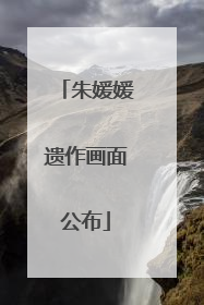 朱媛媛遗作画面公布