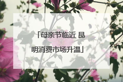 母亲节临近 昆明消费市场升温