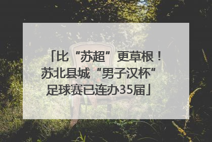 比“苏超”更草根！苏北县城“男子汉杯”足球赛已连办35届