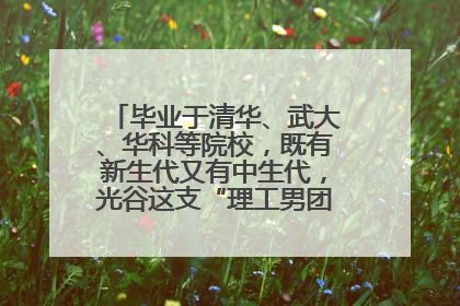 毕业于清华、武大、华科等院校，既有新生代又有中生代，光谷这支“理工男团”为何“出道”？