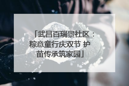 武昌百瑞景社区：粽意童行庆双节 护苗传承筑家园