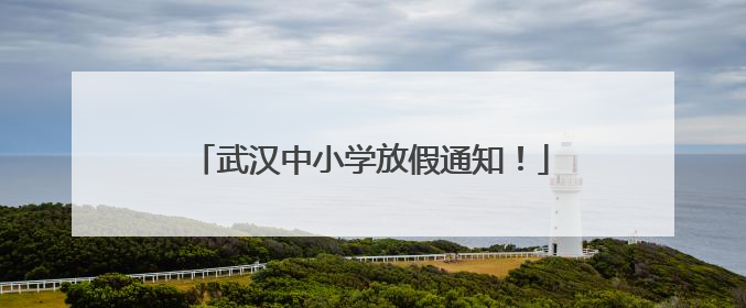 武汉中小学放假通知！