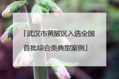 武汉市黄陂区入选全国首批综合类典型案例