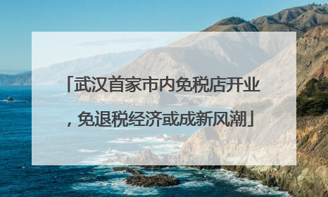 武汉首家市内免税店开业，免退税经济或成新风潮