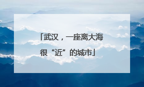 武汉，一座离大海很“近”的城市