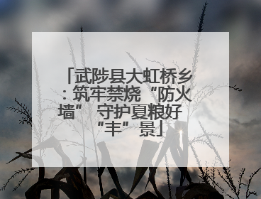 武陟县大虹桥乡：筑牢禁烧“防火墙” 守护夏粮好“丰”景