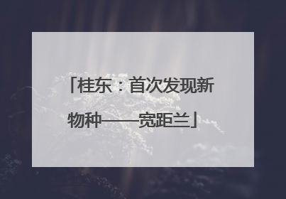 桂东：首次发现新物种——宽距兰