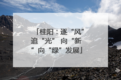 桂阳：逐“风”追“光” 向“新”向“绿”发展