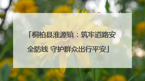 桐柏县淮源镇：筑牢道路安全防线 守护群众出行平安