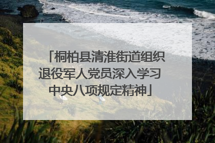 桐柏县清淮街道组织退役军人党员深入学习中央八项规定精神