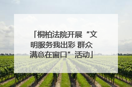 桐柏法院开展“文明服务我出彩 群众满意在窗口”活动