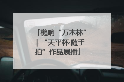 槌响“万木林”｜“天平杯·随手拍”作品展播