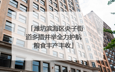 潍坊滨海区央子街道多措并举全力护航粮食丰产丰收