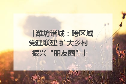 潍坊诸城：跨区域党建联建 扩大乡村振兴“朋友圈”