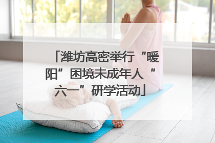潍坊高密举行“暖阳”困境未成年人“六一”研学活动