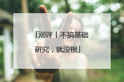 潮评丨不搞基础研究，就没根