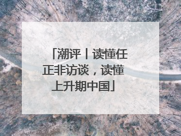 潮评丨读懂任正非访谈，读懂上升期中国