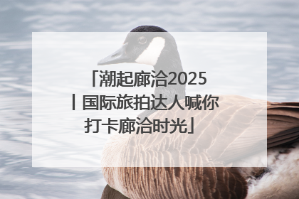 潮起廊洽2025丨国际旅拍达人喊你打卡廊洽时光