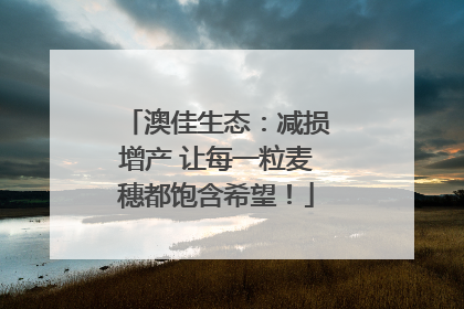 澳佳生态：减损增产 让每一粒麦穗都饱含希望！