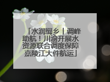 水润蜀乡丨调峰助航！川渝开展水资源联合调度保障嘉陵江大件航运
