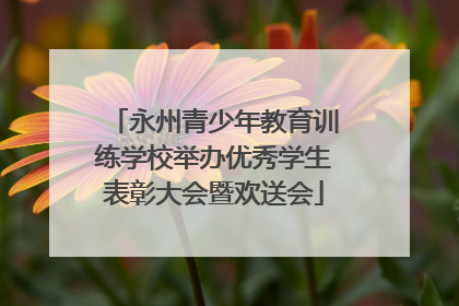 永州青少年教育训练学校举办优秀学生表彰大会暨欢送会