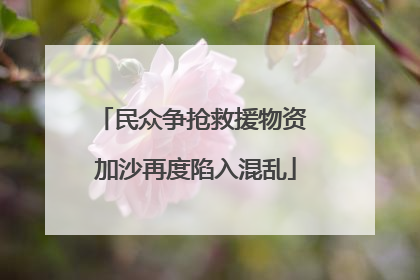民众争抢救援物资 加沙再度陷入混乱