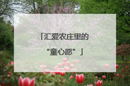 汇爱农庄里的“童心愿”
