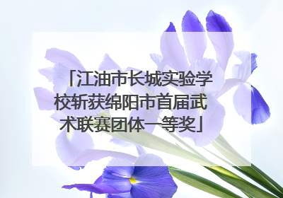 江油市长城实验学校斩获绵阳市首届武术联赛团体一等奖