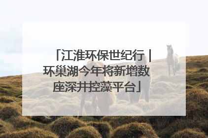 江淮环保世纪行｜环巢湖今年将新增数座深井控藻平台