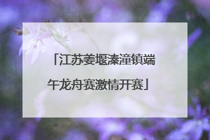 江苏姜堰溱潼镇端午龙舟赛激情开赛