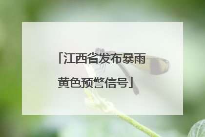 江西省发布暴雨黄色预警信号