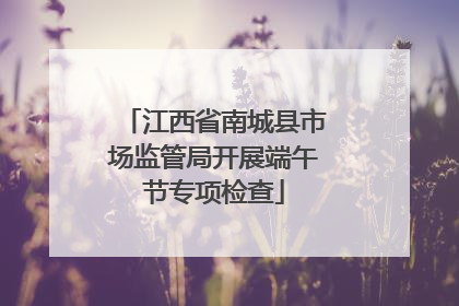 江西省南城县市场监管局开展端午节专项检查