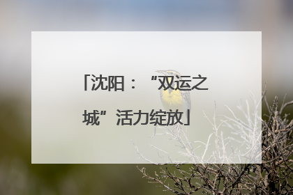 沈阳：“双运之城”活力绽放