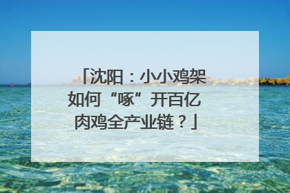 沈阳：小小鸡架如何“啄”开百亿肉鸡全产业链？