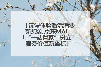沉浸体验激活消费新想象 京东MALL“一站置家”树立服务价值新坐标