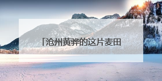 沧州黄骅的这片麦田里传来喜讯：一水未浇的旱碱麦丰收了