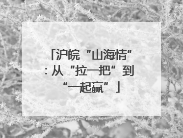 沪皖“山海情”：从“拉一把”到“一起赢”