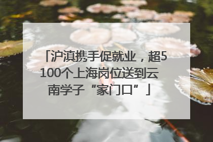 沪滇携手促就业，超5100个上海岗位送到云南学子“家门口”