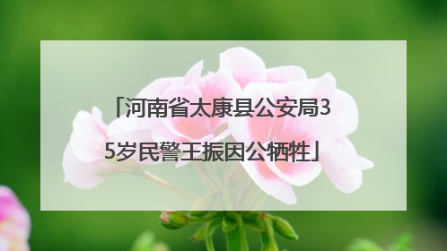 河南省太康县公安局35岁民警王振因公牺牲