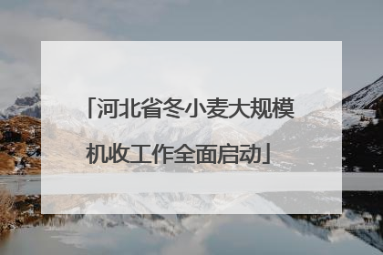 河北省冬小麦大规模机收工作全面启动