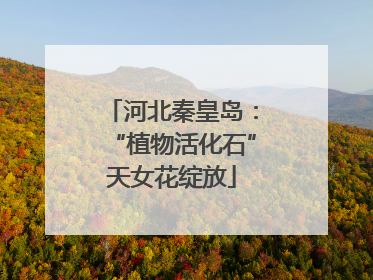 河北秦皇岛：“植物活化石”天女花绽放