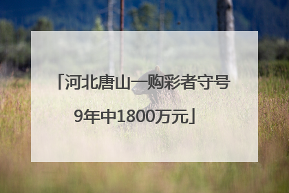 河北唐山一购彩者守号9年中1800万元